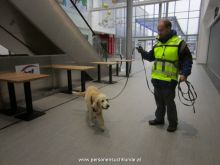 personensuchhunde training25