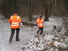 training personensuchhund 06